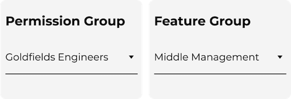 Timecloud Permissions and Feature Access Group allocation widgets